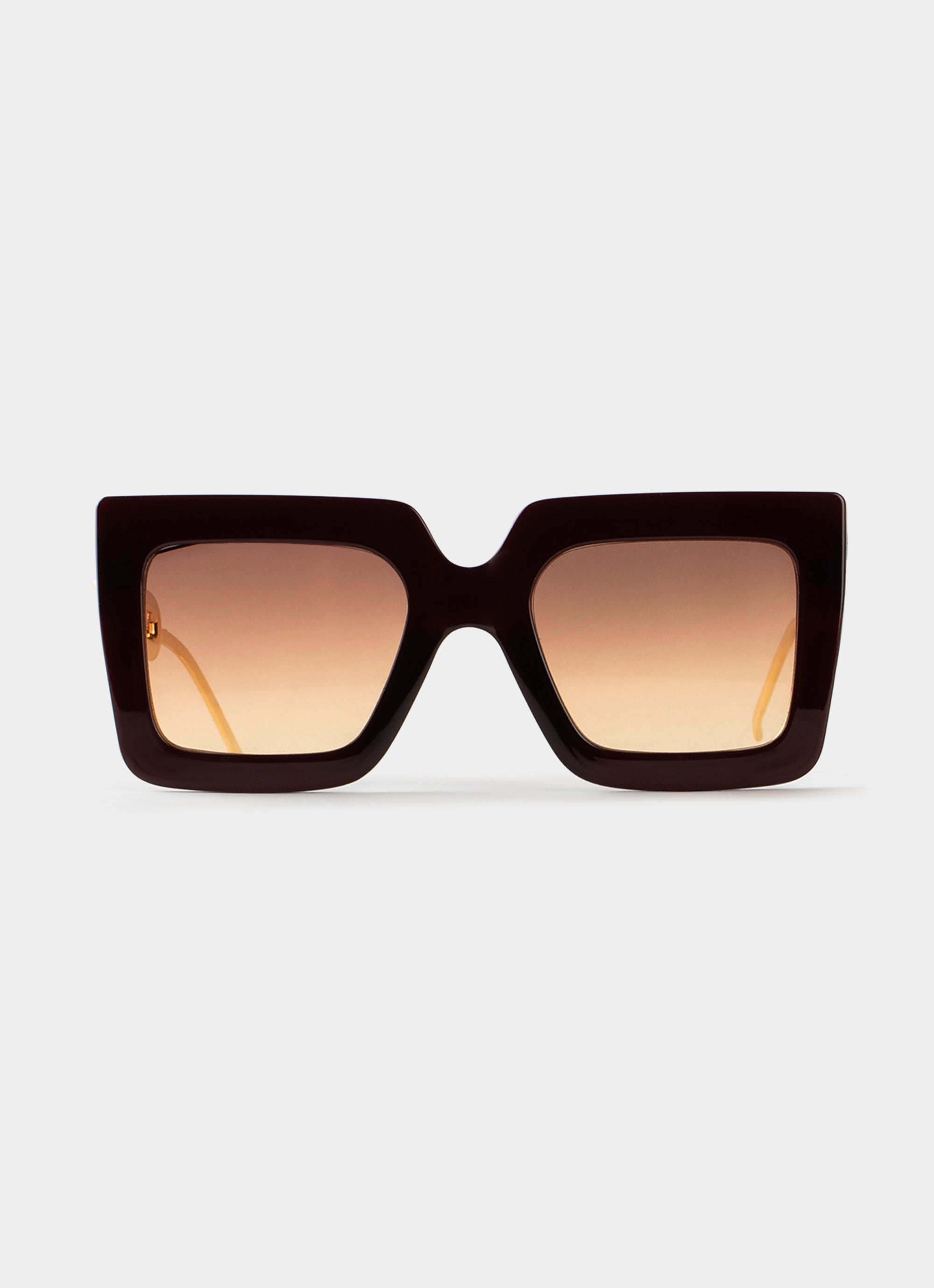 Trophy Vision Sunglasses